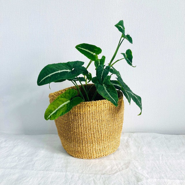 サイザルかご  アースイエロー