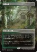 MTG《寺院の庭/Temple Garden(ECL)》日本語 ボーダーレス