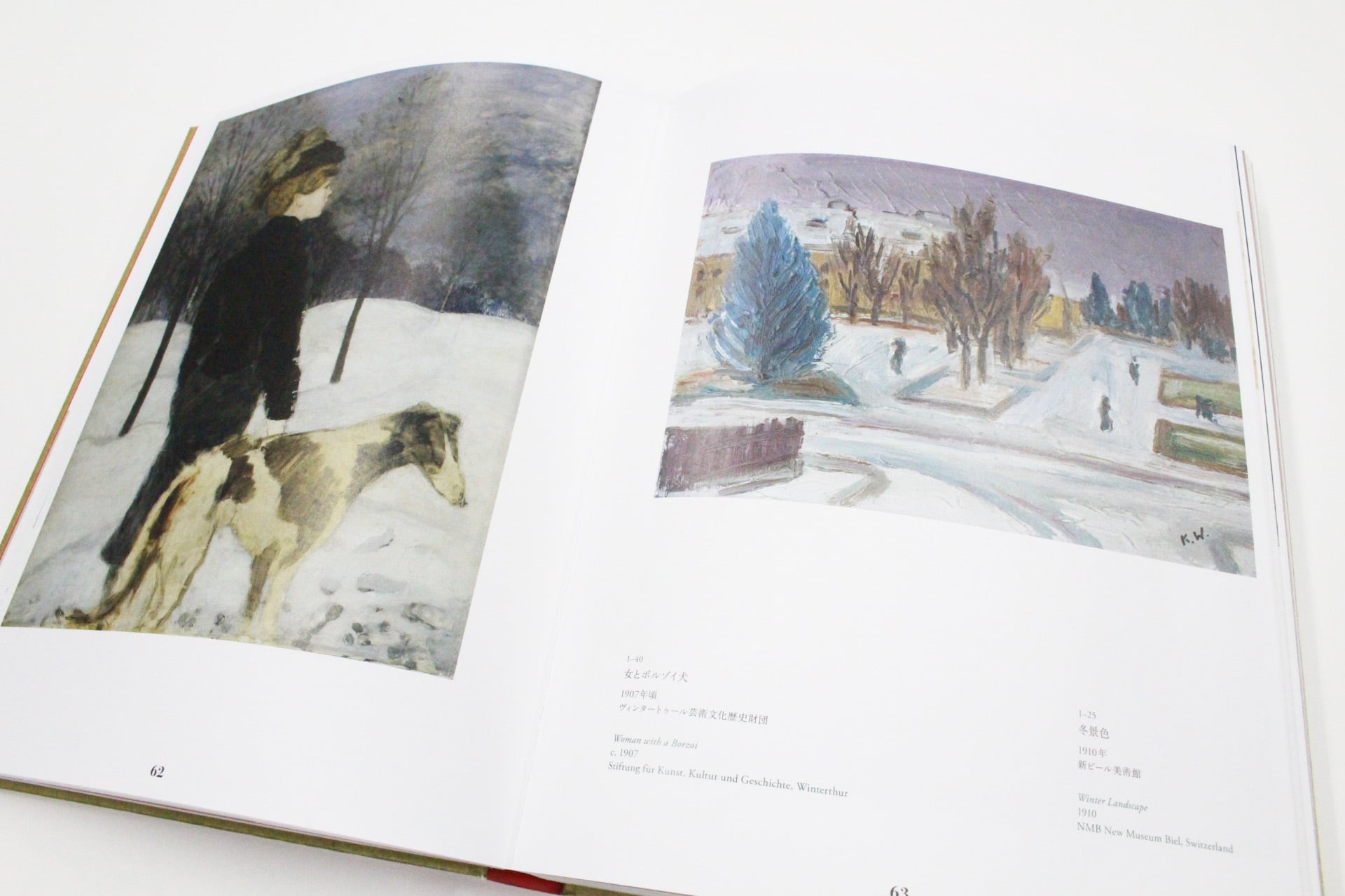 希少　美品 Pierre Schwerzmann スイス 作品集 スイス絵画の異才 カール・ヴァルザー」展図録 | 大阪中之島美術館