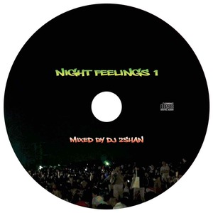 DJ 2SHAN - NIGHT FELLINGS 1 (MIXCD)