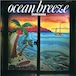 〈残り1点〉【LP】高中正義 - Ocean Breeze(クリア グリーン ヴァイナル)