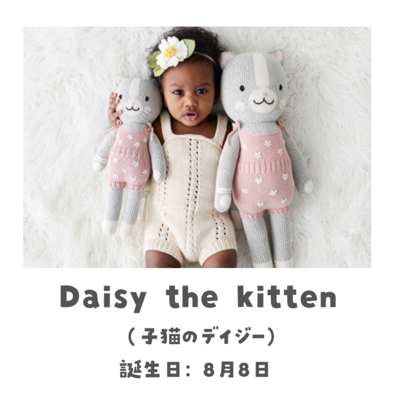 【レギュラー】cuddle+kind  「子猫のデイジー」