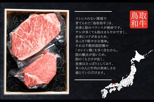 【鳥取和牛】ギフトセット - シャトーブリアン＆サーロインステーキ - 150g × 2