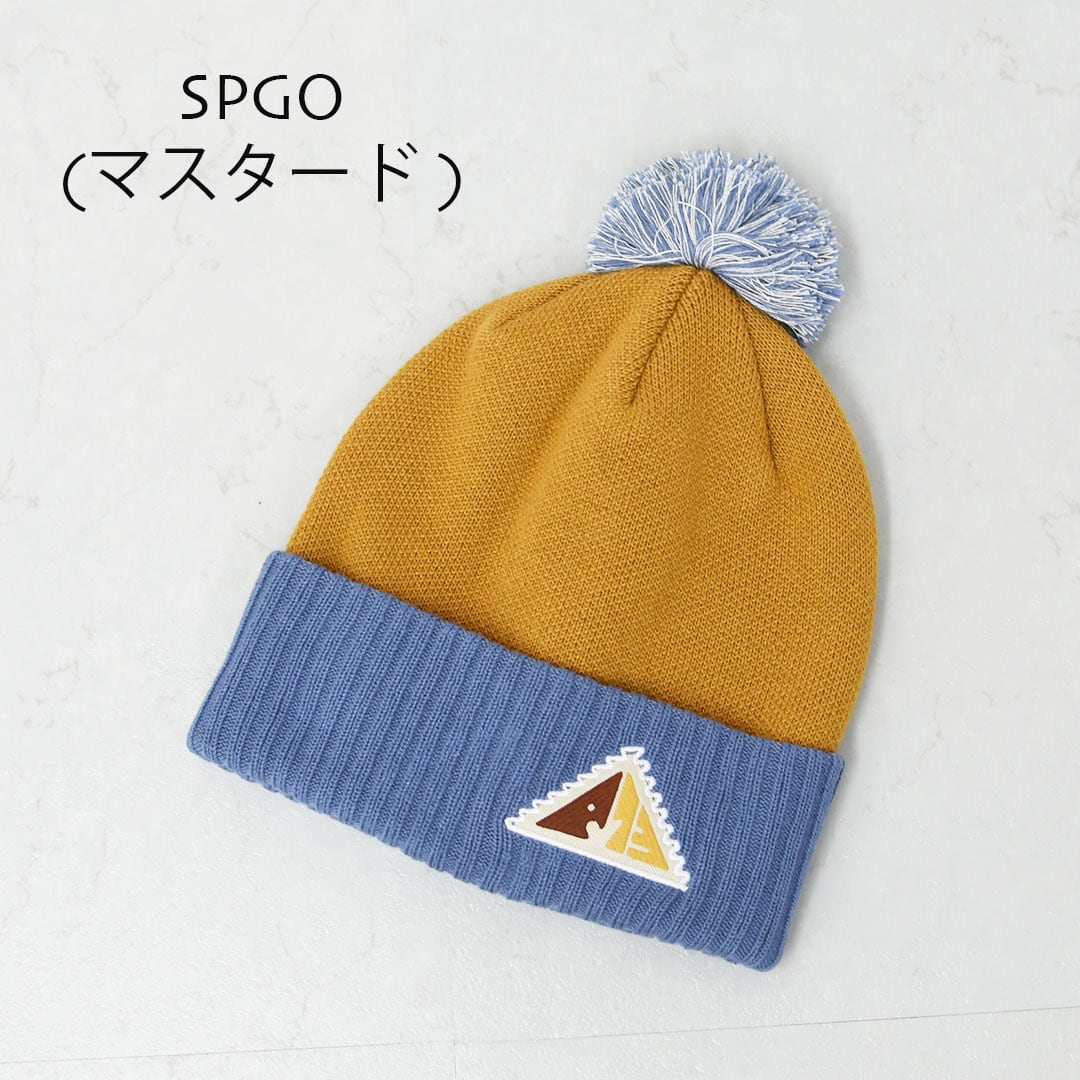 Patagonia [パタゴニア正規代理店] Powder Town Beanie [29187