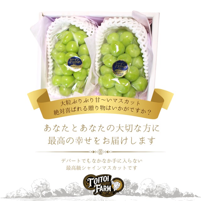 農家直送【贈答用】岡山県産シャインマスカット2房[1.4キロ以上 農家直送【贈答用】岡山県産シャインマスカット2房[1.4キロ以上