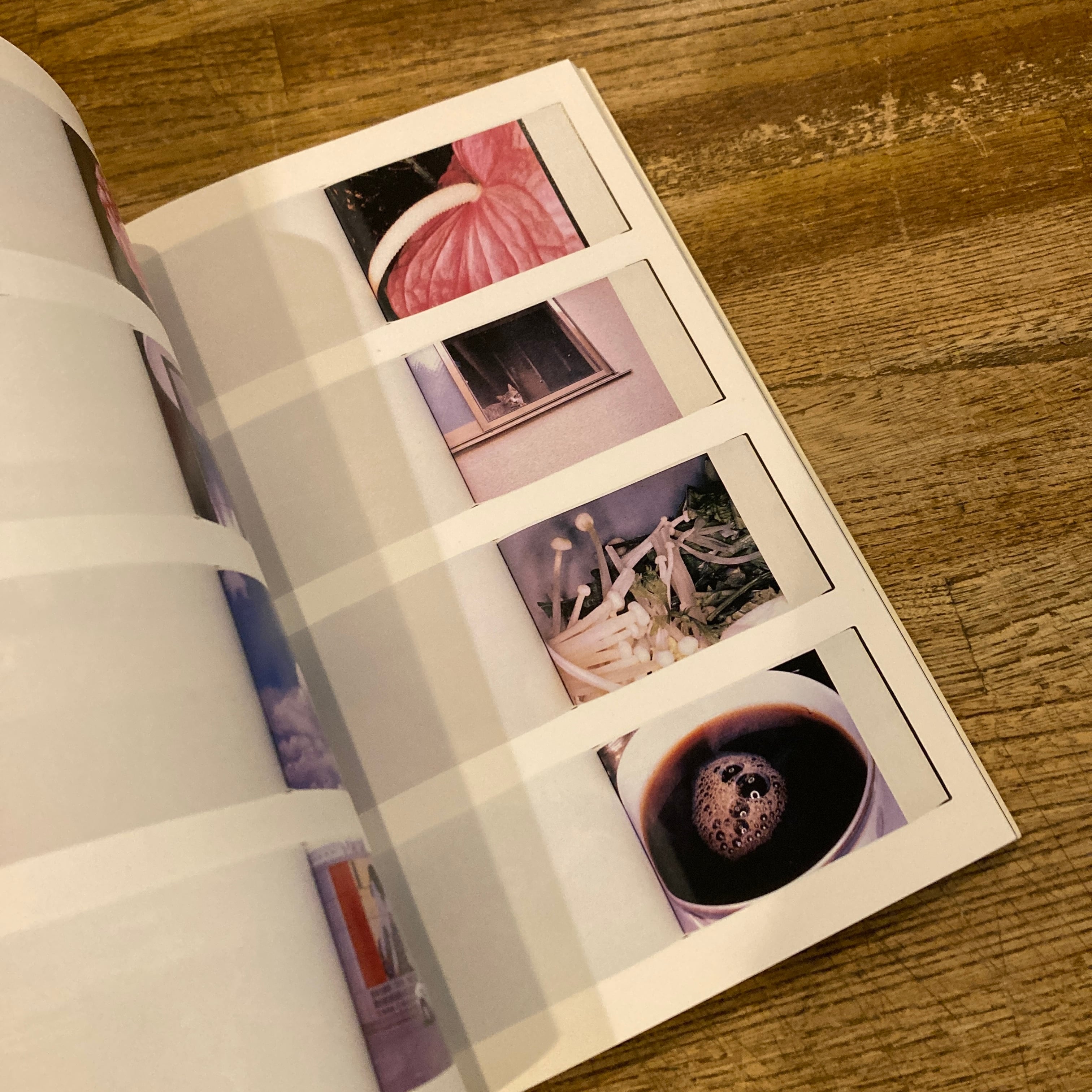 荒木経惟写真全集 第13巻 ゼロックス写真帖 / 荒木経惟、南伸坊 | 百年