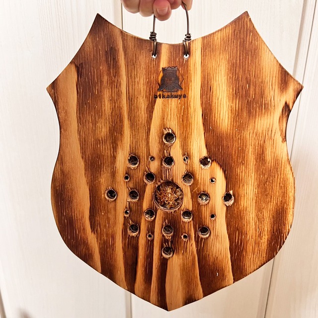 ビカクシダ レモイネイ 板付 【観葉植物 室内 コウモリラン】