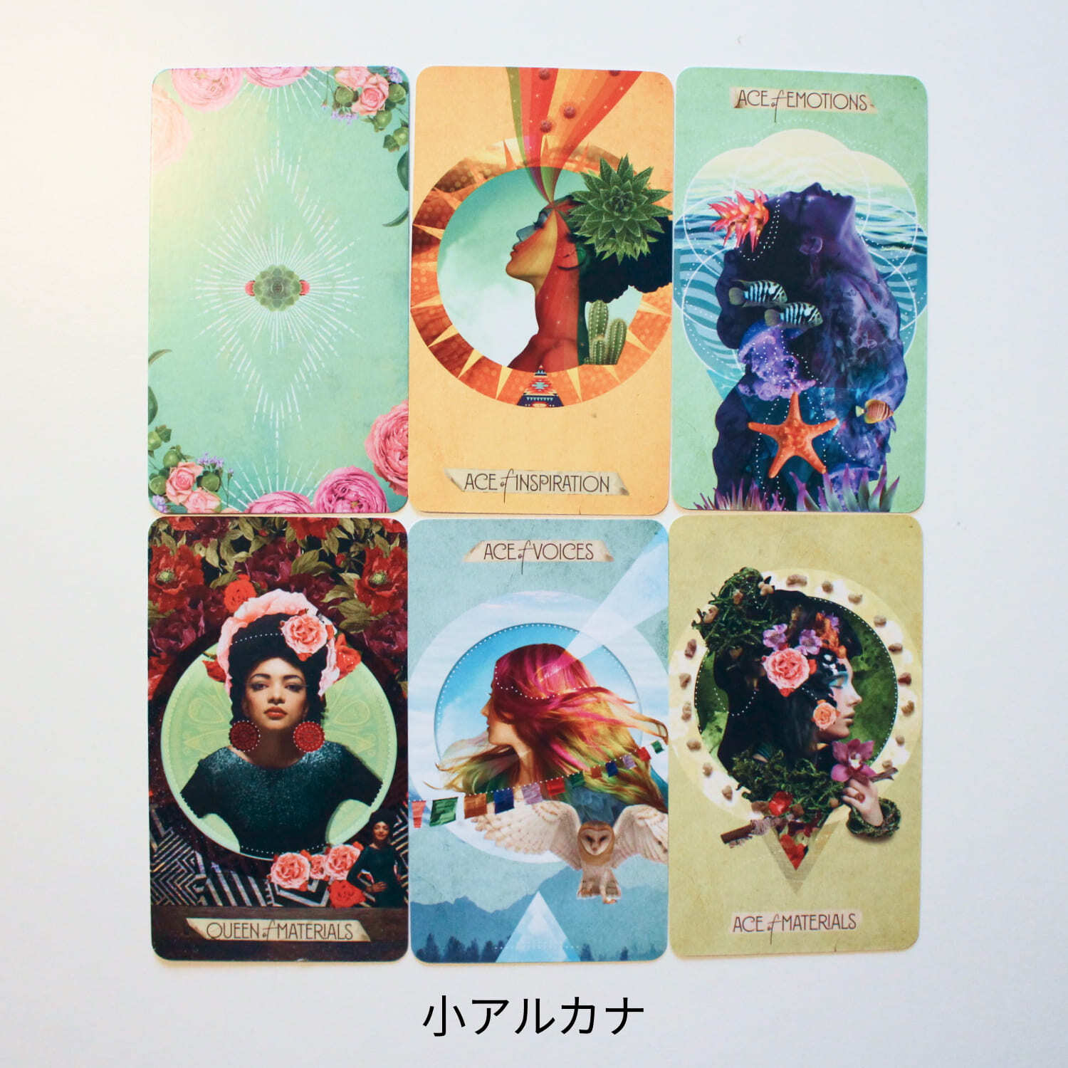 Muse Cat Tarot Cards 限定 希少品 オラクルカード タロット