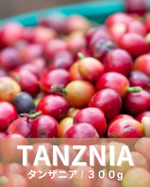 タンザニア　ムベヤ300g