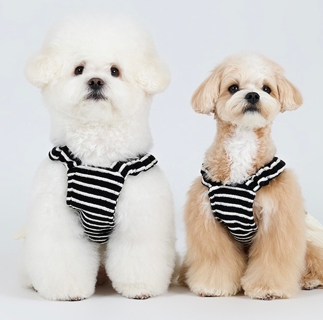 【送料無料期間】お洋服全体に伸縮性があり快適ウェア(BLACK)