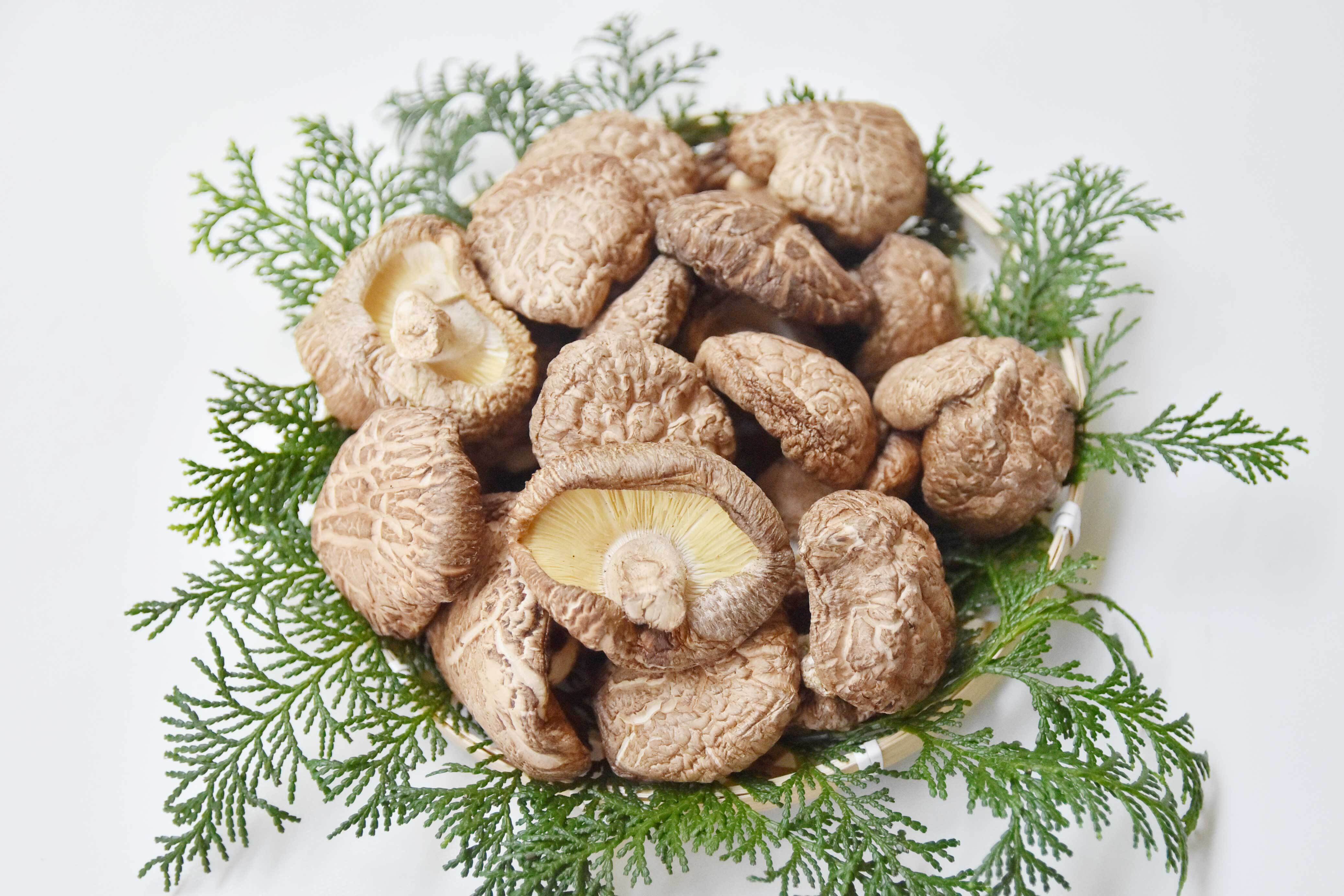 原木栽培乾燥椎茸 どんこ 140g | いずみ五家荘 秘境の郷オンラインショップ