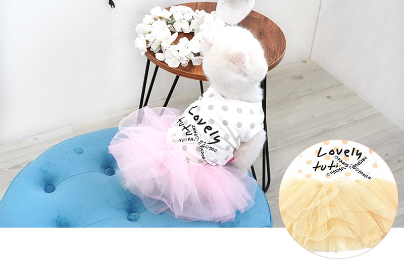 犬服 3S わんこの普段着ベリーベリーラズベリー