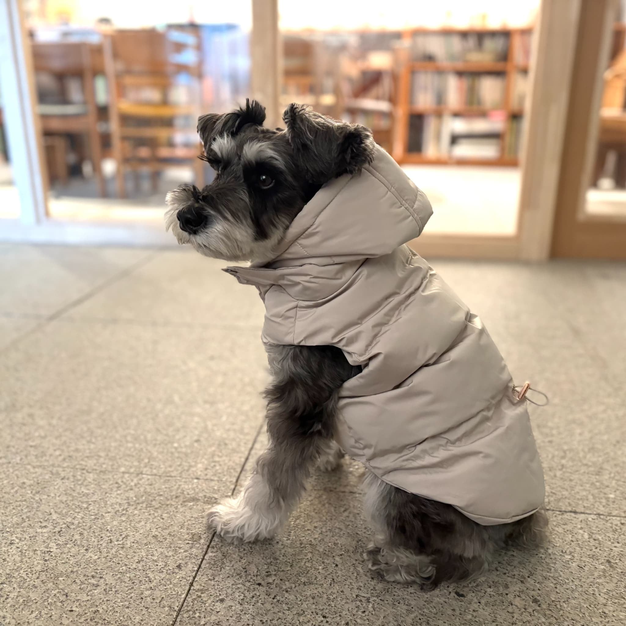 寒い季節の防水ダウン！【maxbone（マックスボーン）】フーディダウン