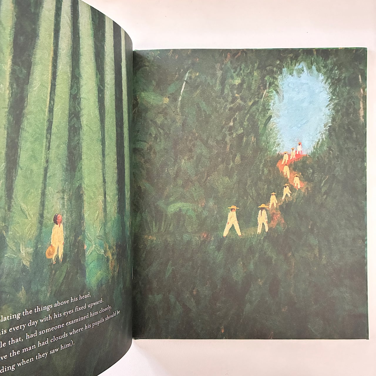 Look Up | 素敵な洋書絵本のお店 Read Leaf Books