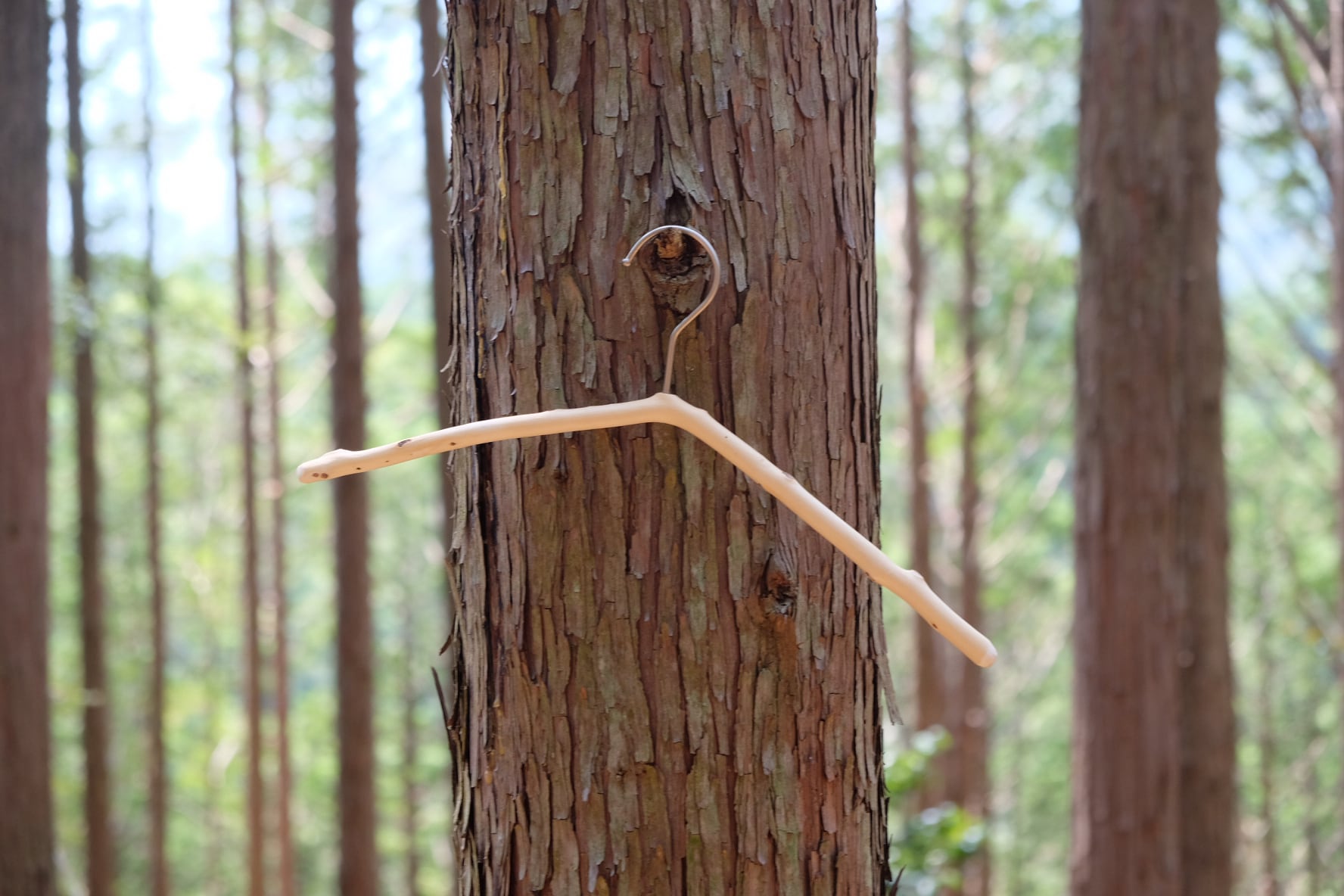 ヘンテコ枝のハンガー