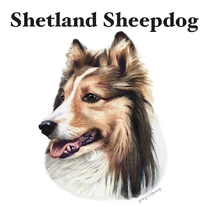 gray original Dog face &breed printed S/S TEE［Shetland sheep］