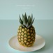 mysterious fruit pot (pineapple) アロエ・ペグレラエ