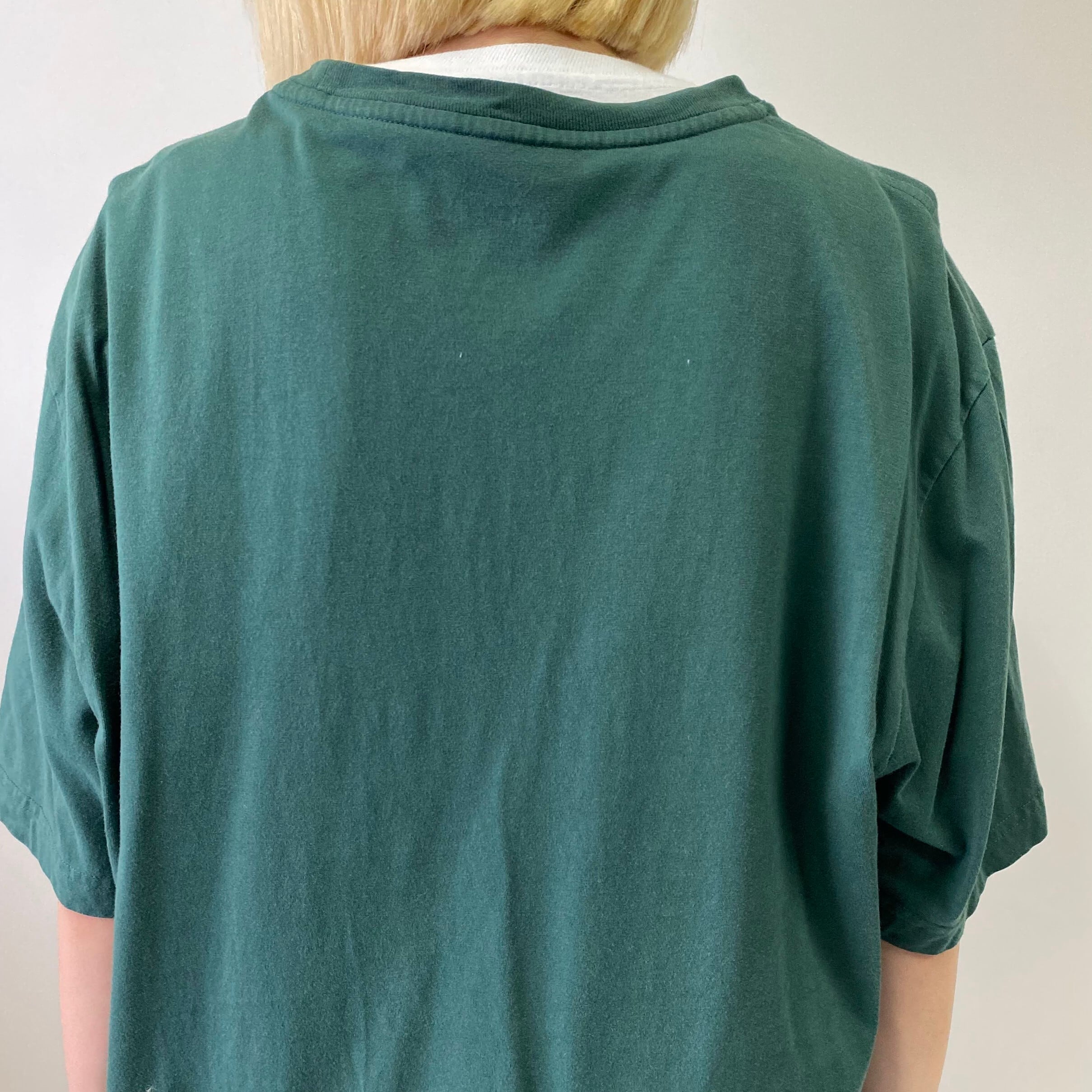 新入荷SALE対象外】ビッグサイズ LACOSTE ラコステ ワンポイントロゴ T