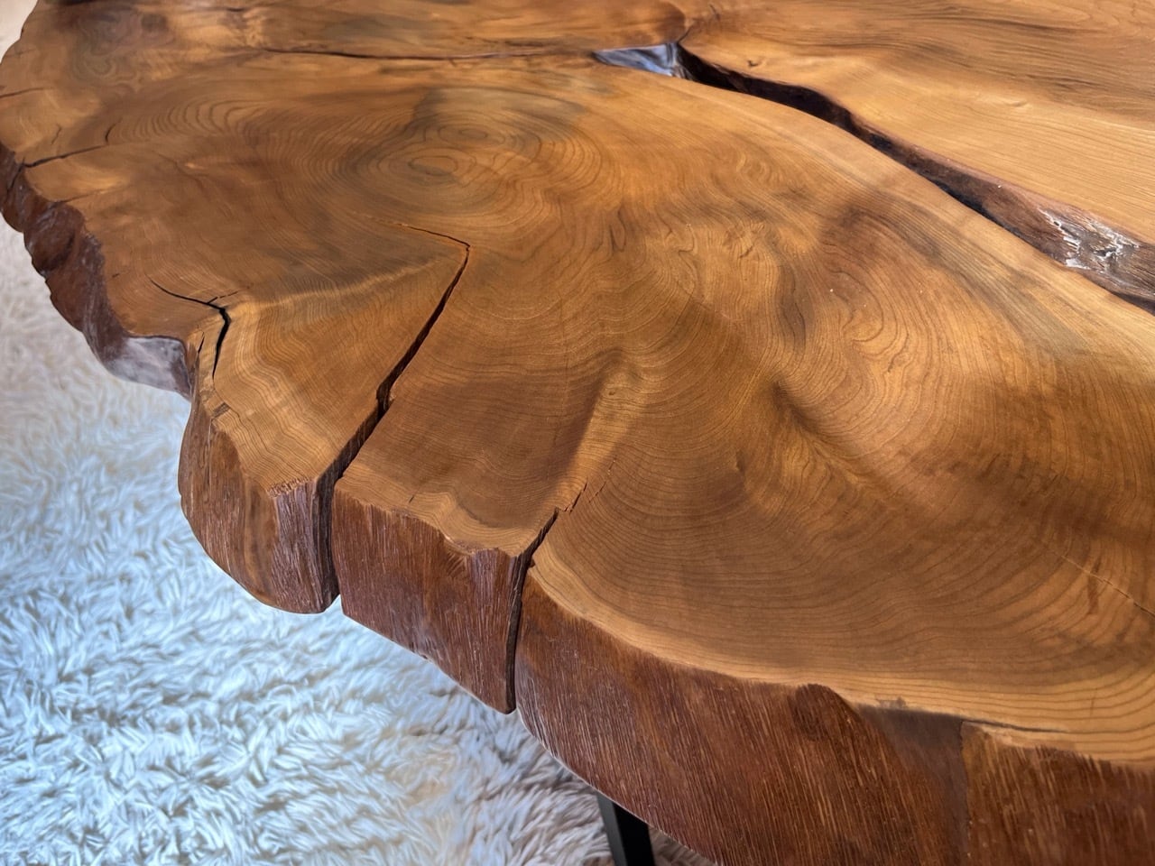 ≪浅草本店≫神代杉（ジンダイスギ） 輪切り 1100×600×50 221724