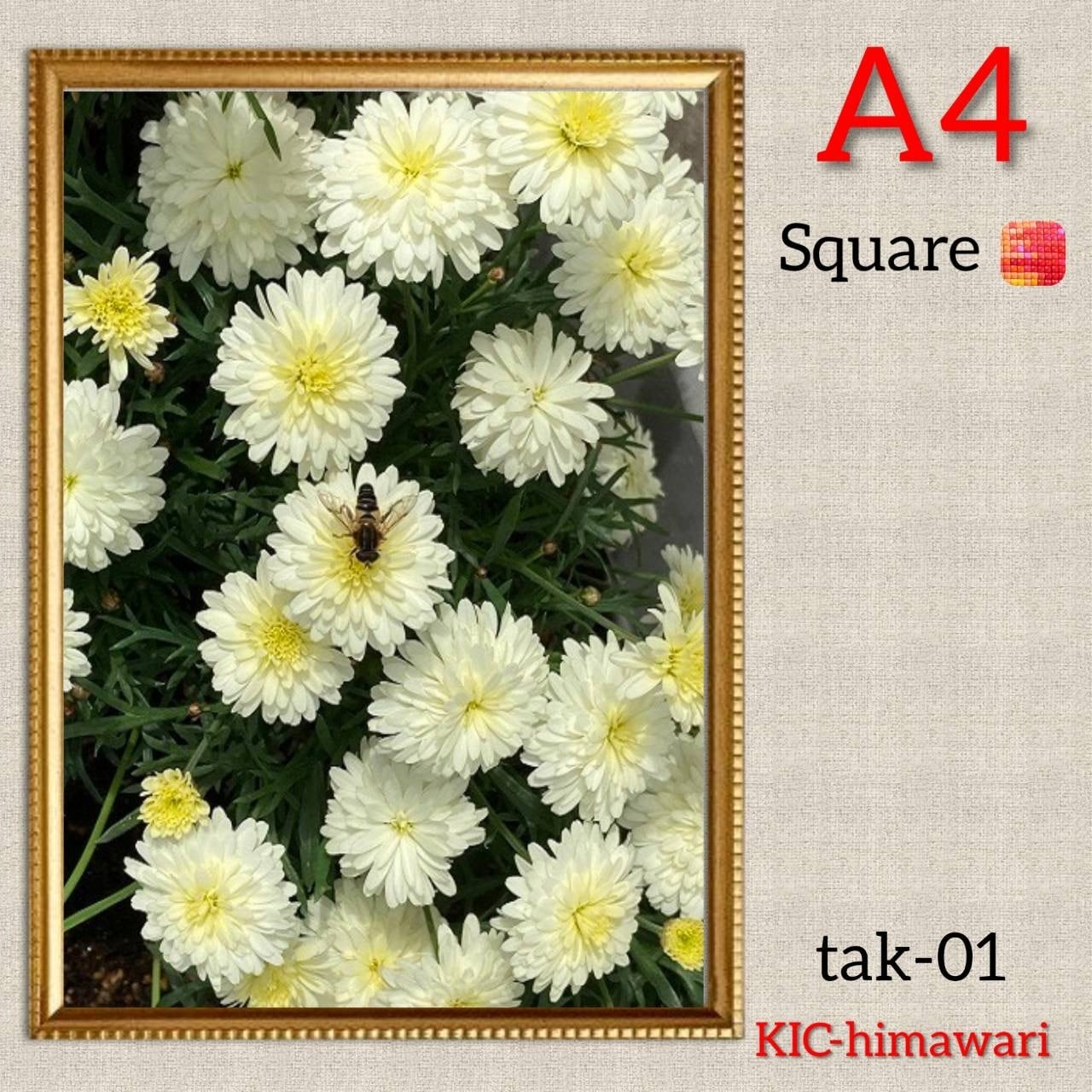 A4額付き 四角ビーズ【tak-01】ダイヤモンドアート