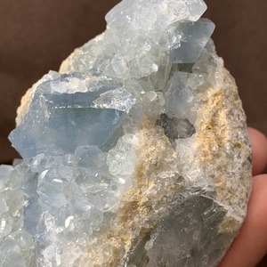 2セレスタイトに住み着いているフローライトハリネズミさん