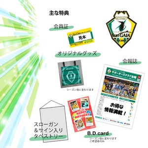 サポクラ／ゴールド