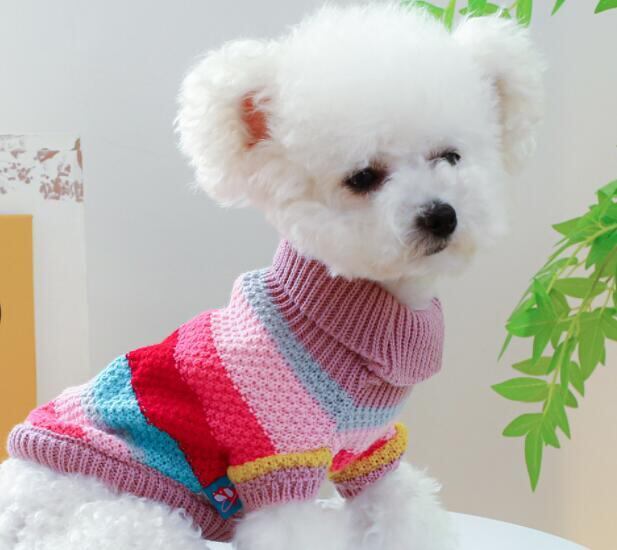 《予約》№1102478 カラフルフレキシブルニット