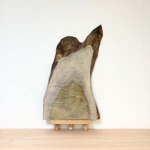 No.1125　ホオノキ