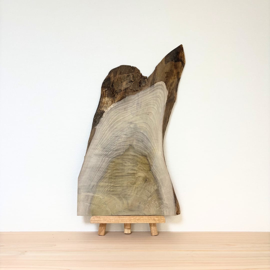 No.1125　ホオノキ