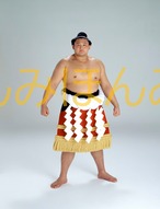 平成８年５月場所優勝　横綱　貴乃花光司関（１３回目の優勝）