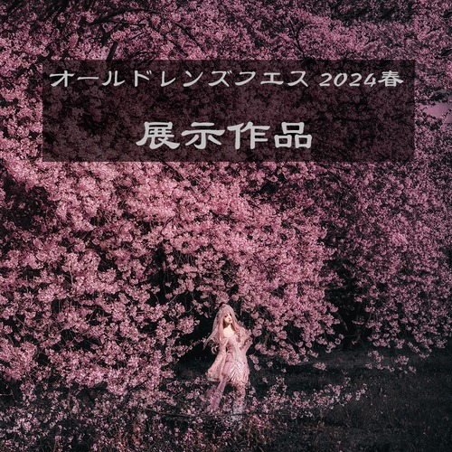 展示作品（OLF2024春02）