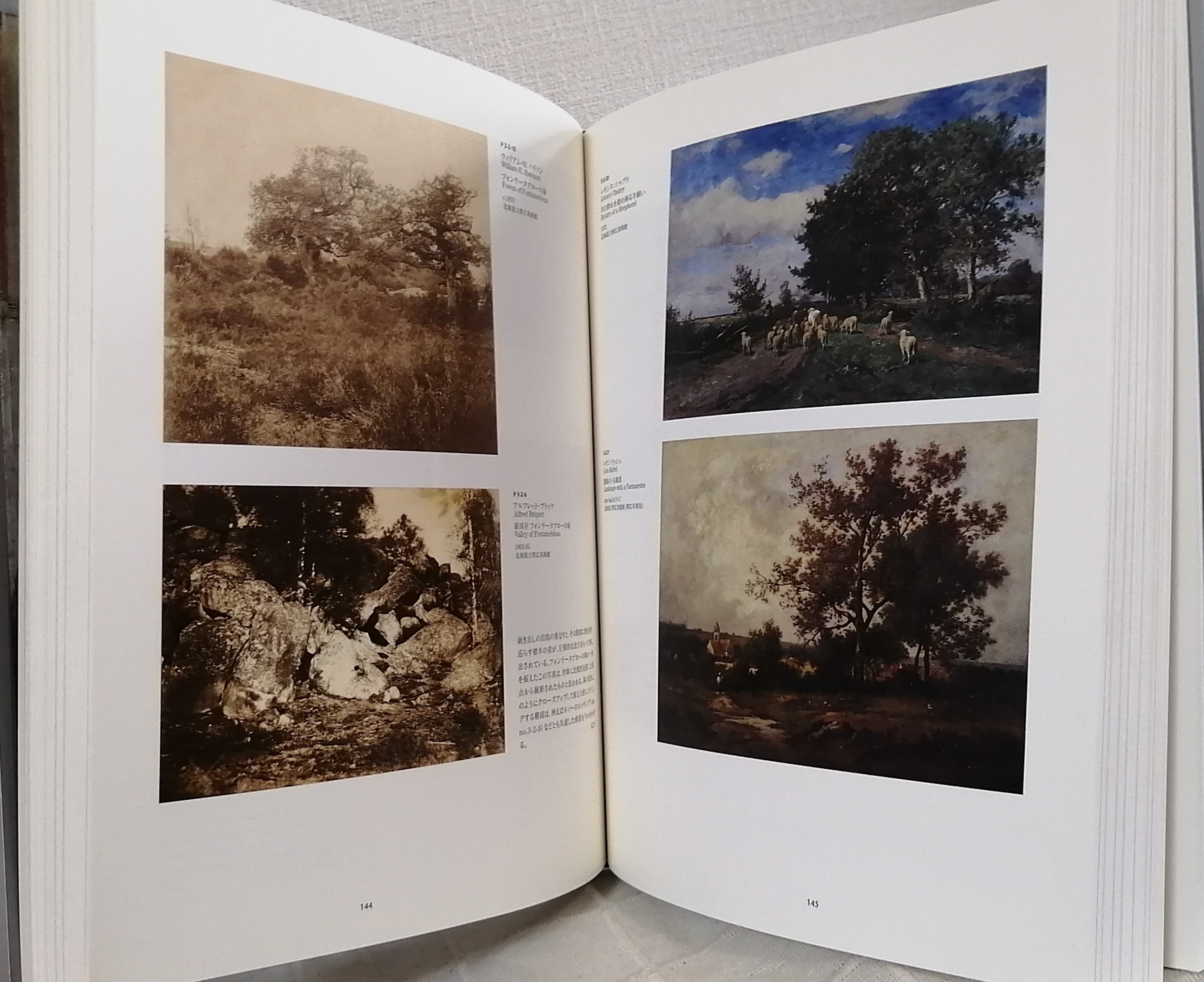 写真と絵画　その相似と相異　図録 草間彌生 YOYOI KUSAMA 草間彌生展 - 永遠の現在 図録 | タイムカプセル