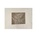 落合皎児【版画】Wind Mirror #V/X — 1990s 25(H) × 33(W)cm