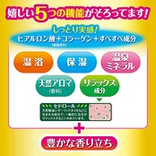 HERSバスラボ ボトル 濃厚リンゴの香り 600g 入浴剤 薬用 保湿 スキンケア 粉末タイプ [医薬部外品]