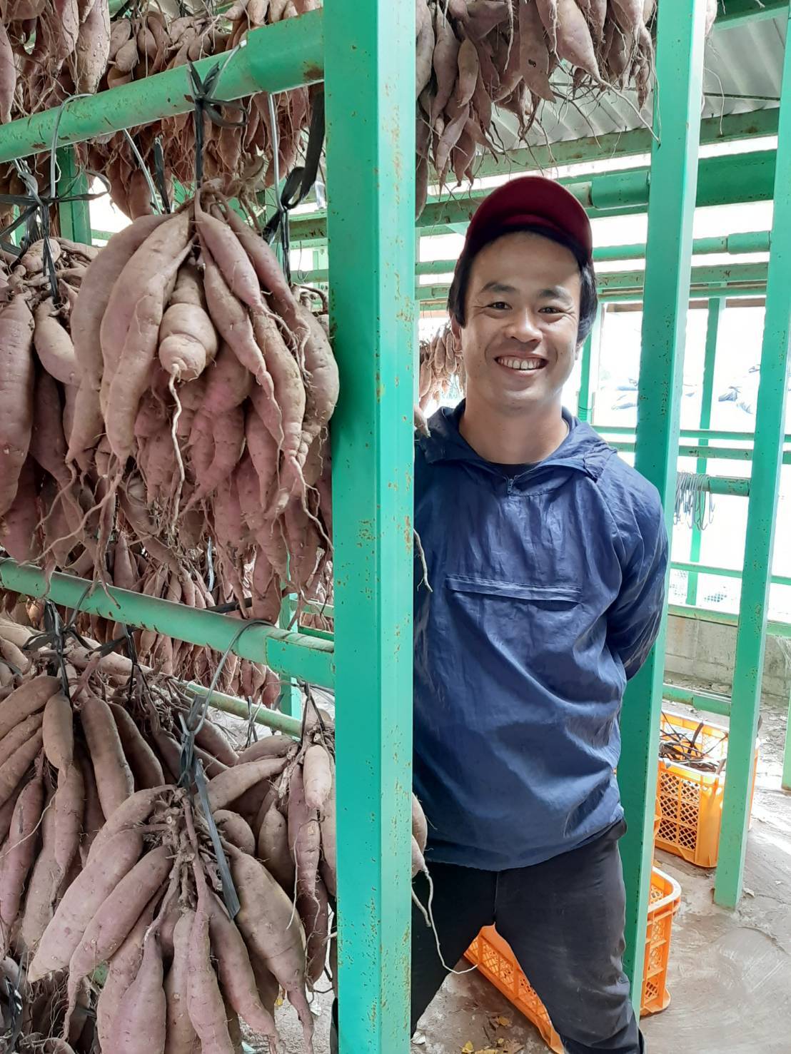 12/15～発送開始【期間限定】つらさげ芋の焼き芋1.5㎏(5パック) | 浜直農園