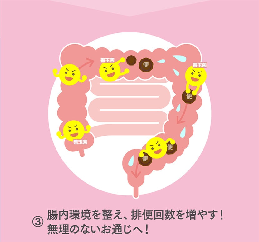 アウトレット 菊芋の極み〈家計応援価格〉1袋