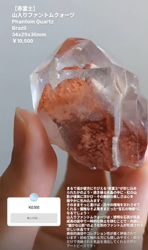 ⭔ お客様専用ページ ⭔ __tranquillite__様　