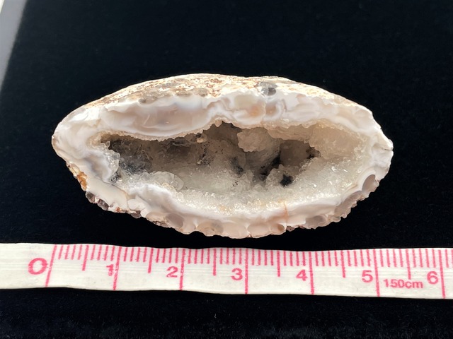 オープンジオード