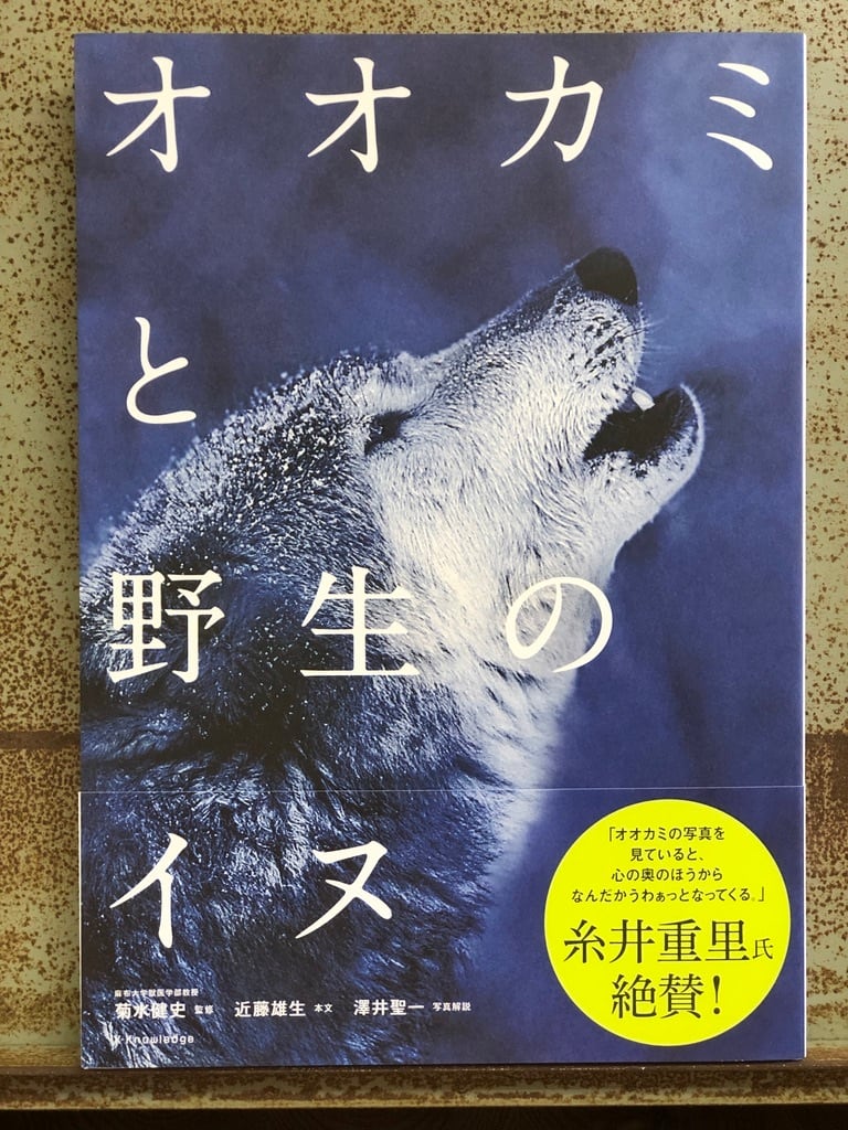 オオカミと野生のイヌ   冒険研究所書店