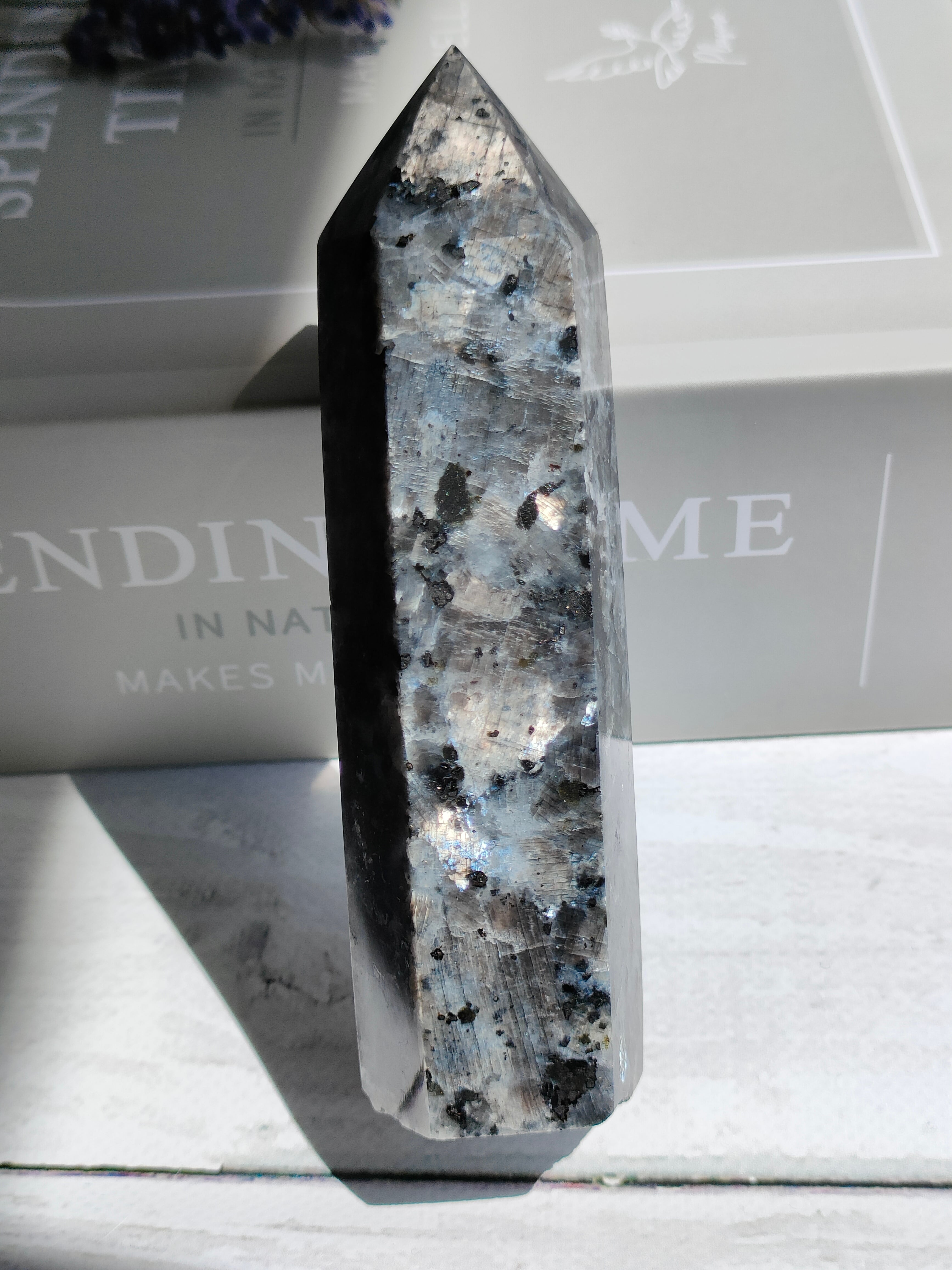 ラルビカイトTOWER