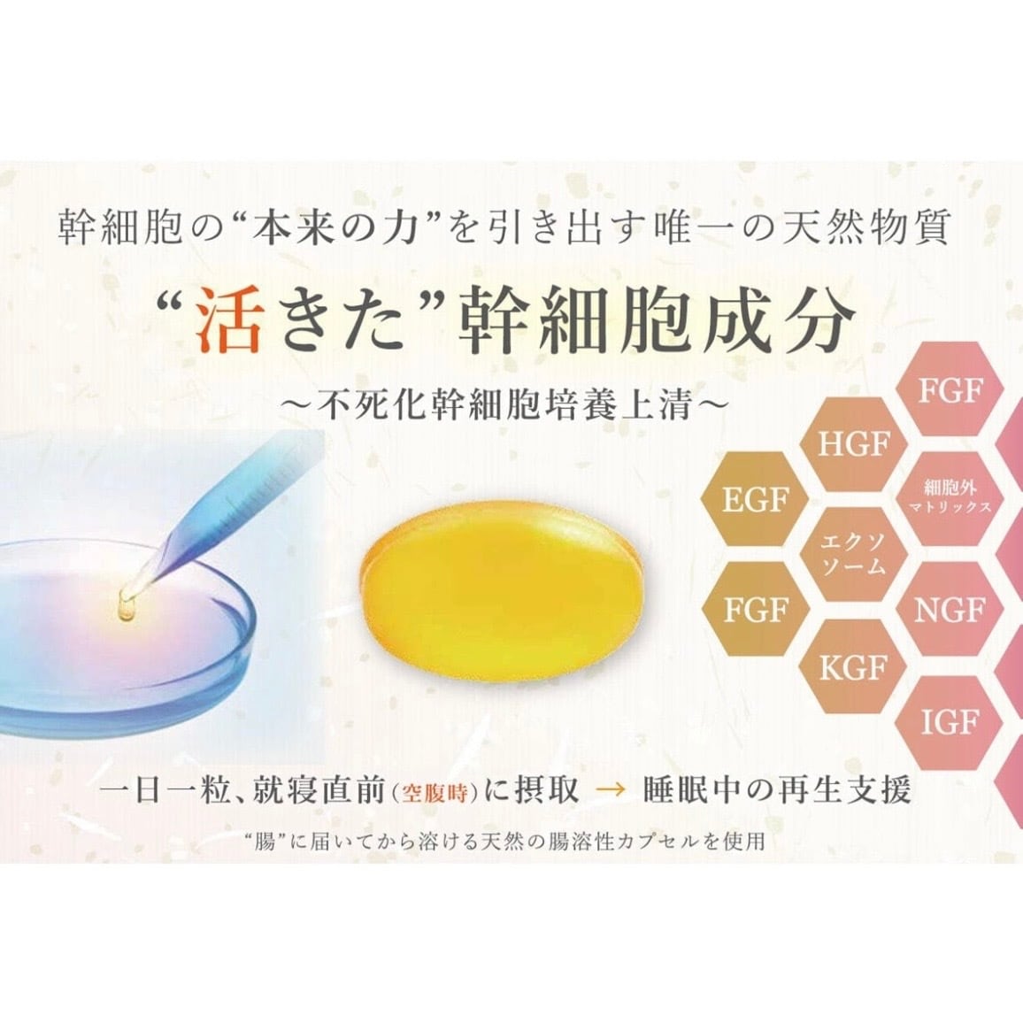 Darwin バイオリプロ FKチャージ 30粒入 / Darwin（ダーウィン