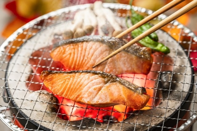 極上 鮭の切身 塩水漬け【北海道豊頃町大津・天然鮭】 | 北海道とよ