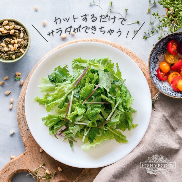 【FISH VEGGIES】水菜とレタスのサラダセット 90g　化学肥料/農薬不使用だから安心して食べられる