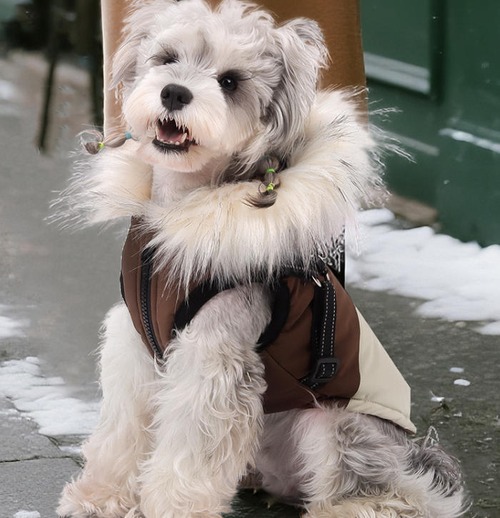 〖予約〗1103213　バリュエーション ファージャンパー