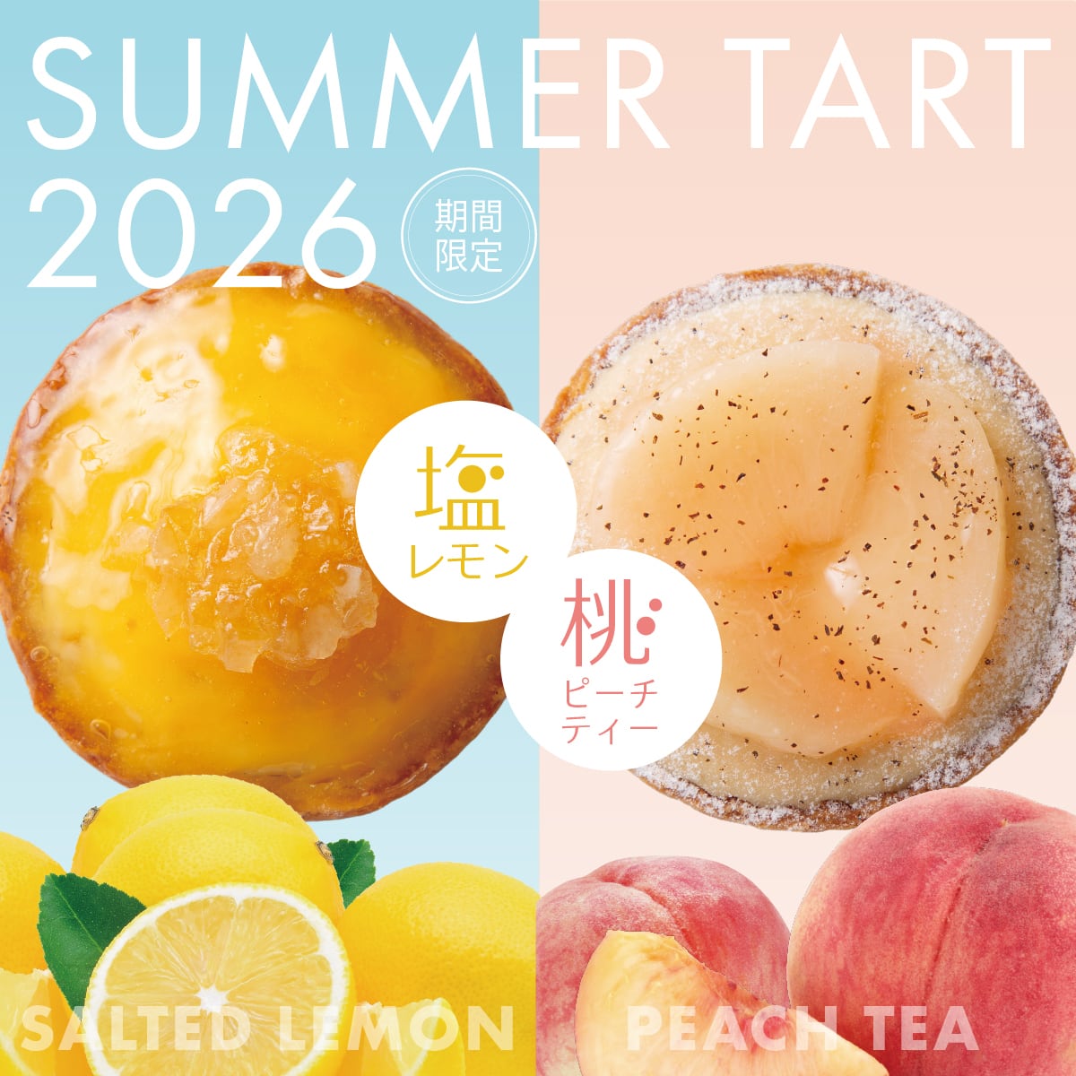 送料無料】【12個入り】 色とりどりのタルトセット ( 期間 限定 塩