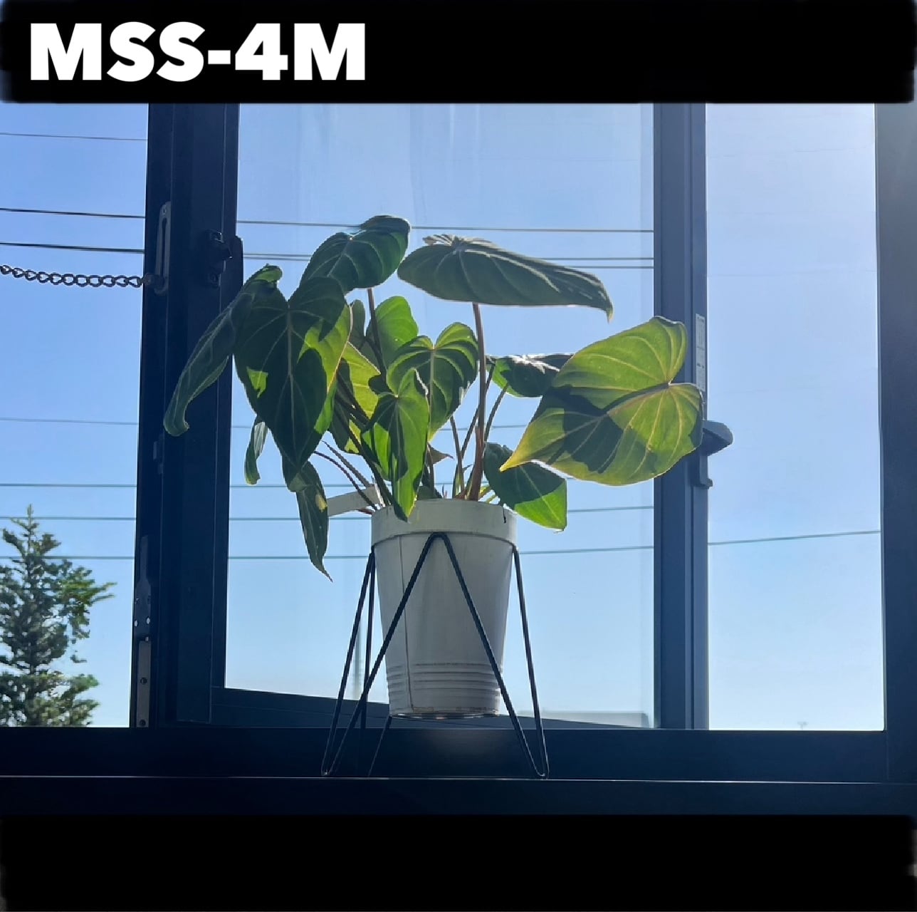 ◇MSS-4Mマジックスクエアスタンドmini | bellsmoreのひとはこ。