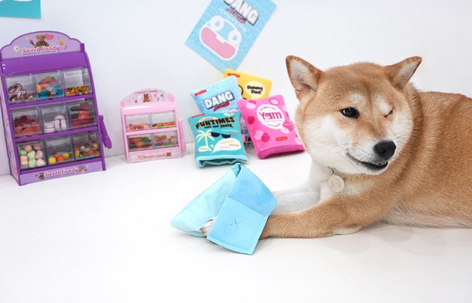 jellychu pocket toy / ペット 犬 おもちゃ カシャカシャ 知育玩具 ノーズワーク おやつ隠し 可愛い わんちゃん おもちゃ ストレス解消 toy16