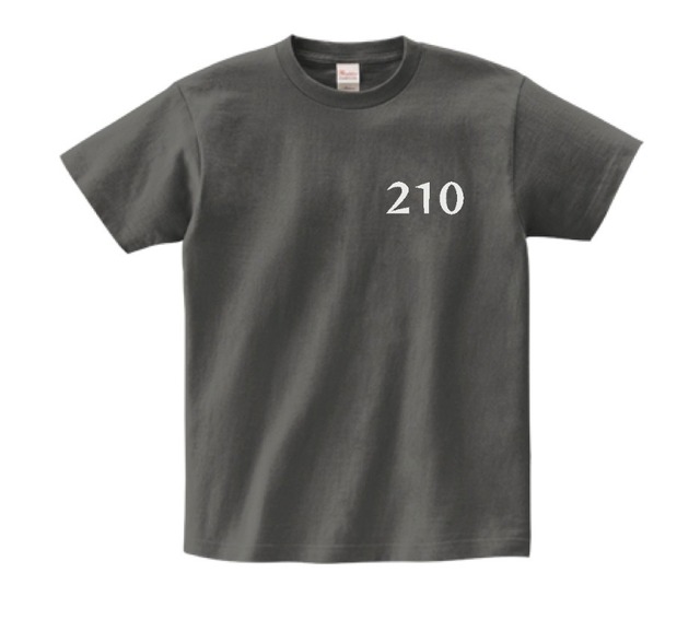 TEAM NIT Tシャツ　2026ノーマルバージョン（グレー）