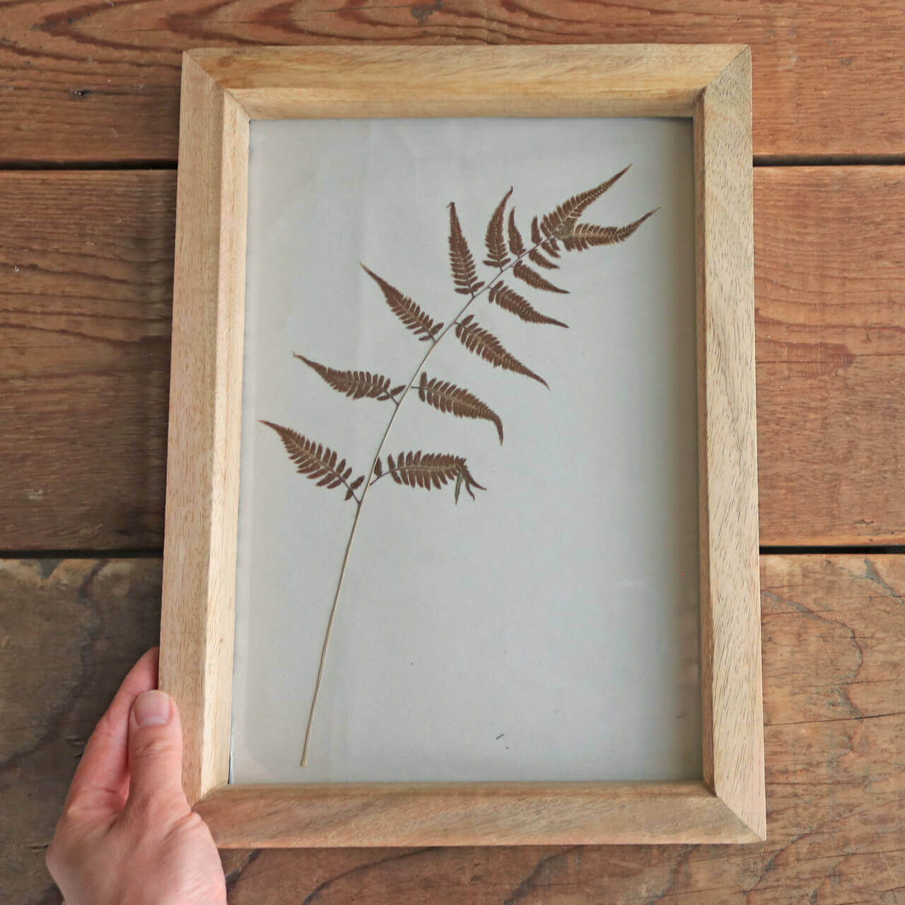 【1点もの ・ A4サイズ】ボタニカルフラワーのアンティークフレーム シダ ブラウン* レトロ ボタニカル アンティーク調 フラワーリース 北欧インテリア 開店祝い プレゼント 誕生日 ギフト グリーン ナチュラル かわいい ボタニカル おしゃれ 植物標本