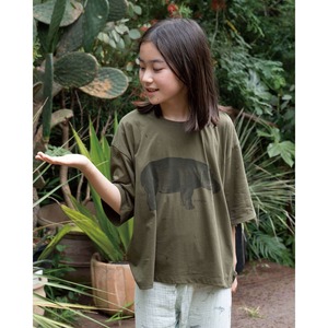 カバの半袖Tシャツ 【Zoologia】 オーガニックコットン